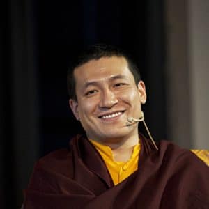 17. Karmapa